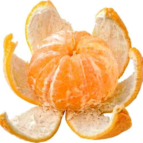 Mandarinenfrucht und ätherisches Mandarinenöl als sanfter Duftreiz für emotionale Wahrnehmung
